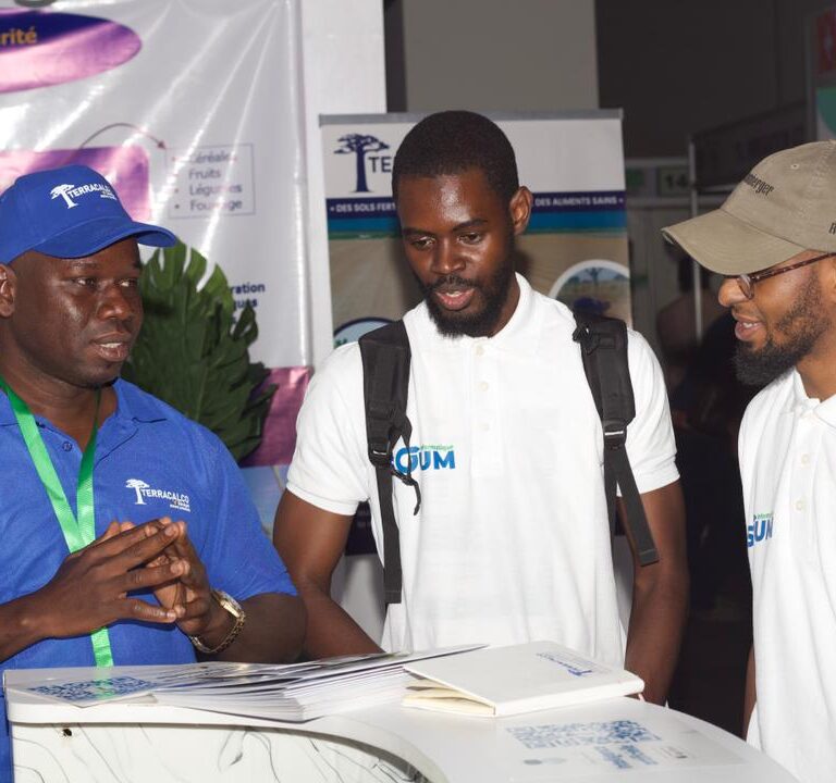 WhatsApp Image 2026-04-11 at 17.47.06