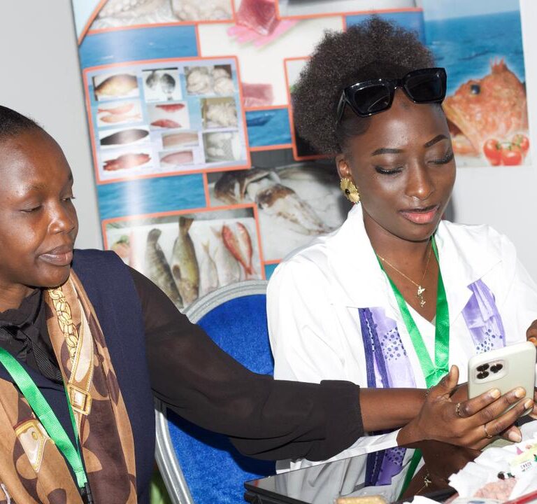 WhatsApp Image 2026-04-11 at 17.47.12 (2)