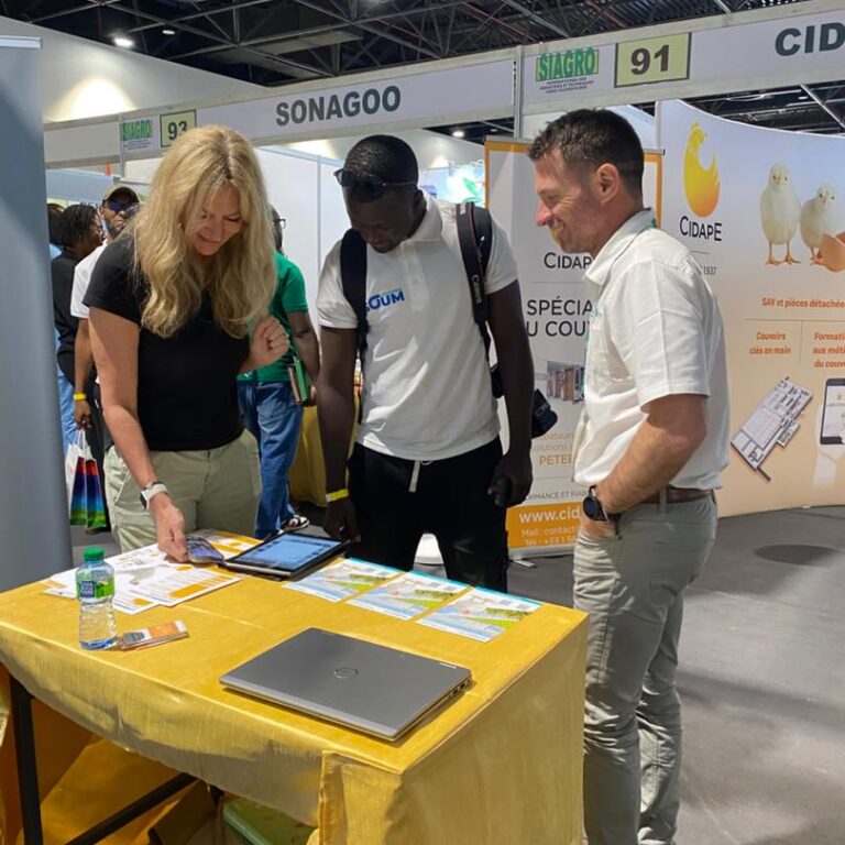 WhatsApp Image 2026-04-11 at 17.47.24