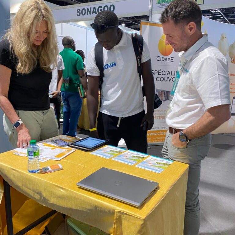 WhatsApp Image 2026-04-11 at 17.47.25